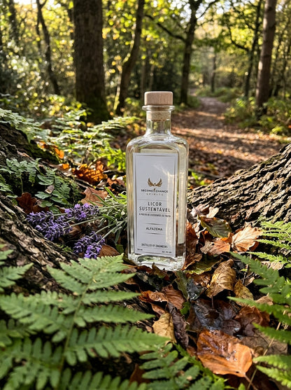 Sustainable Lavender Liqueur